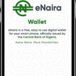 Nigeria’s eNaira Website Goes Live, Records One Million Hits In 24Hrs