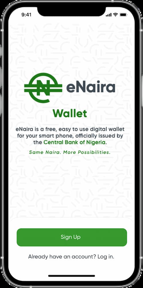 Nigerias eNaira Website Goes Live Records One Million Hits In 24Hrs