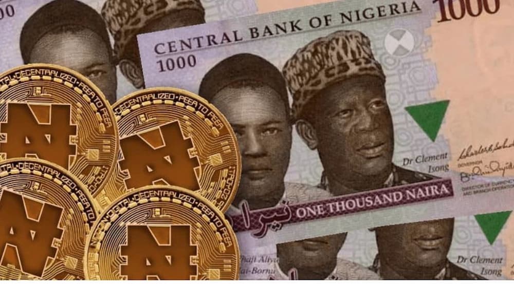 Releaf After Paypal Mercury Bank Blocks African Startups Accounts Nigerian Startups Others Raise Over $4bn In 2021 eNaira CBN Digital currency naira