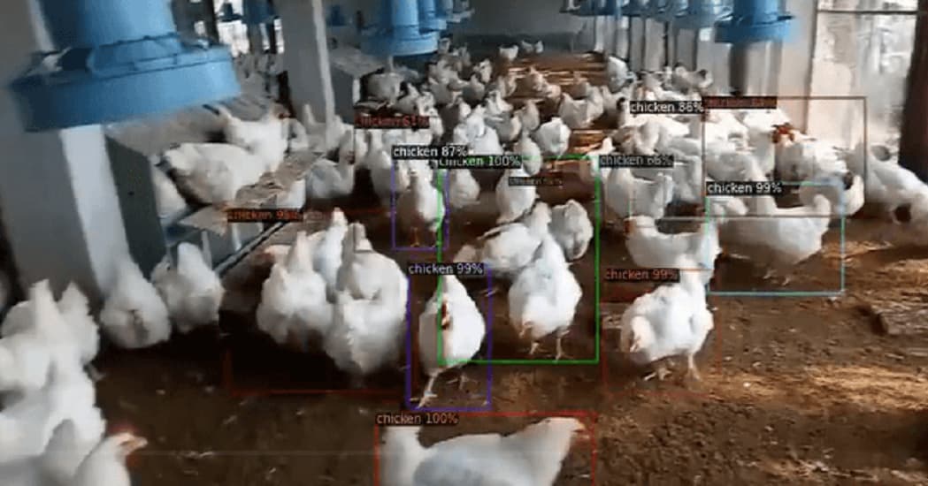 AI for poultry farming