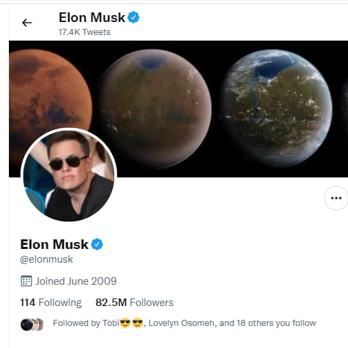 Elon Musk and Twitter saga