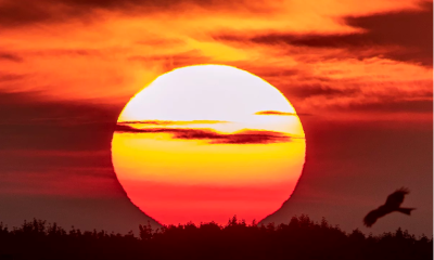 Summer Solstice: What You Should Know