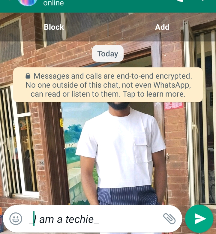 WhatsApp hacks, Italicise text