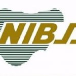 NIBSS-logo